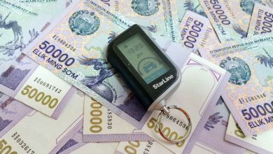 Узбекский сум - купюры номиналом 50 тысяч сумов. Базовая расчетная величина для штрафов и государственных пошлин в Узбекистане вводится вместо минималки МРЗП - теперь будет БРВ