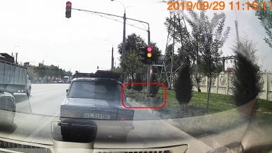 Штраф в 2,2 млн. за выброшенный мусор из окна автомобиля - 5