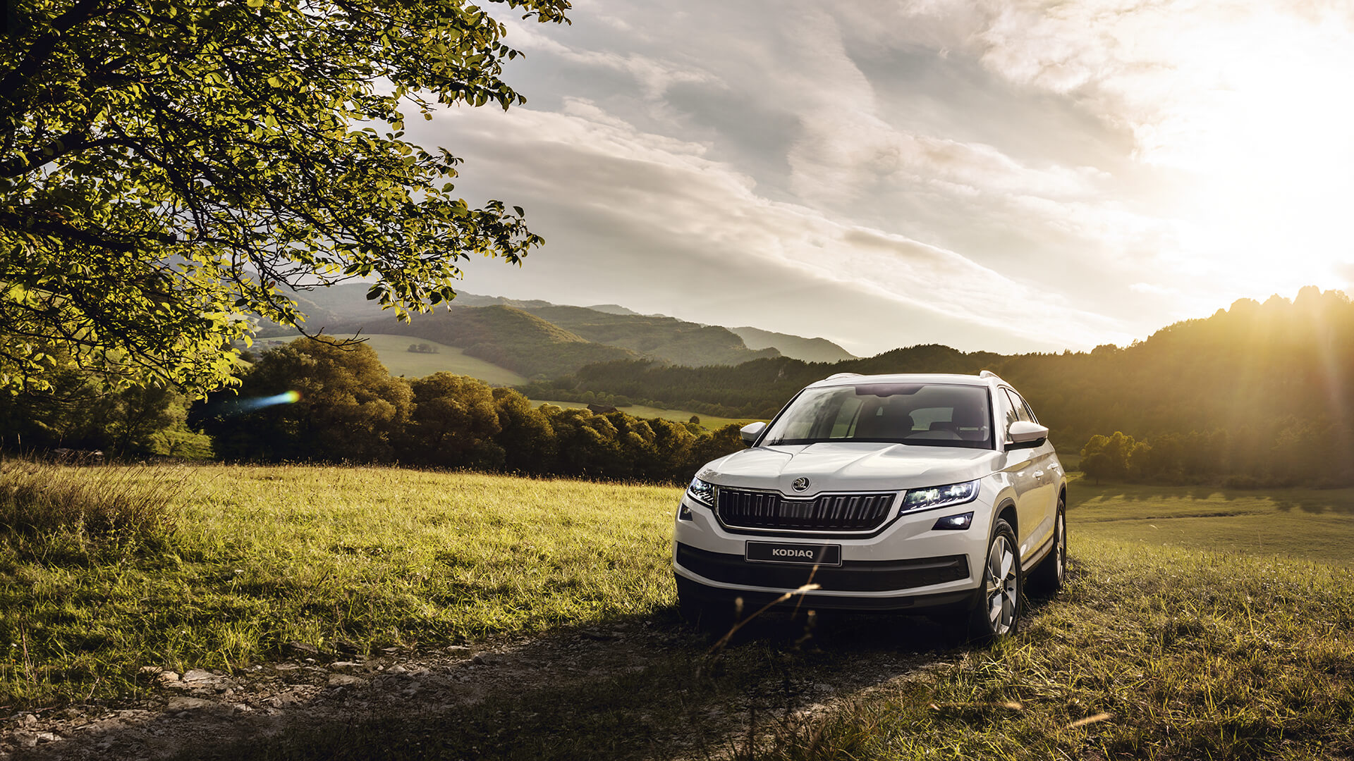 Начались продажи Škoda Kodiaq в Узбекистане - 4 Начались продажи Škoda Kodiaq в Узбекистане - 4