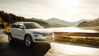 Начались продажи Škoda Kodiaq в Узбекистане - 2