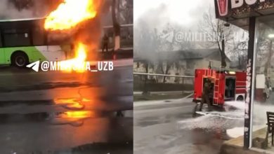 В Ташкенте сгорел автобус - 7 В Ташкенте сгорел автобус - 3