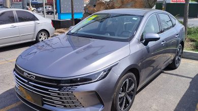 BYD Chazor
