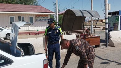 Автомобили с двигателями Евро-2 получат зеленые экостикеры - 5 Автомобили с двигателями Евро-2 получат зеленые экостикеры - 4