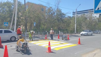 В Узбекистане узаконили приподнятые пешеходные переходы и 3D разметку - 2