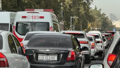 Движение автомобилей в Ташкенте ограничат по системе четных и нечетных дней - 10 Движение автомобилей в Ташкенте ограничат по системе четных и нечетных дней - 1