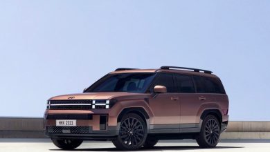 Hyundai Santa Fe в Узбекистане: цены, комплектации и характеристики - 10 Hyundai Santa Fe пятого поколения медного цвета на фоне неба